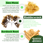 Organic Irish Sea Moss With Bladderwrack and Burdock Root - 45 Servings by Organics Nature