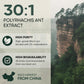 Black Ant Extract Powder 30:1 Concentration, 94 Servings - 5 Ounces of Pure Polyrhachis Black Ant Supplement, Filler Free Changbai Mountain Ant Traditional Mens Health Support for Drive