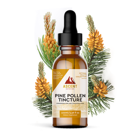 Wild-Harvested Pine Pollen Tincture, 100 ml Bottle by Ascent Nutrition