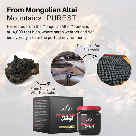 Mongolian Shilajit by Amu – Unique combination of Ancient wisdom & Modern Nutrition