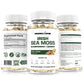 Sea Moss With Bladderwrack & Burdock Root - 3 Bottles by Organics Nature - GoodWood