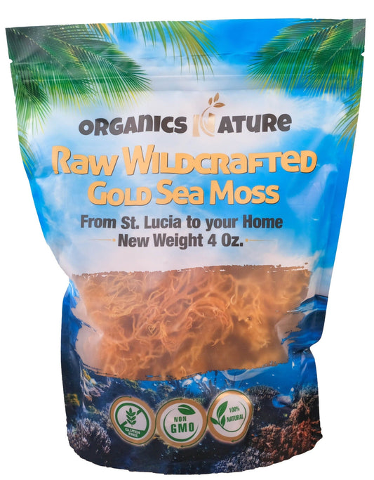 Raw Wildcrafted Sea Moss 4oz by Organics Nature