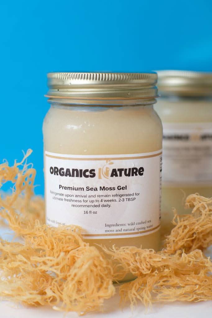 Sea Moss Gel - St. Lucian Sea Moss Gel Single 16oz Jar by Organics Nature - GoodWood