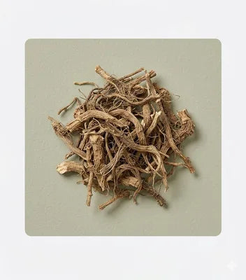Stinging Nettle Root