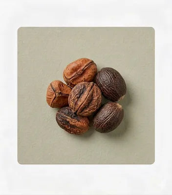 Cola Nut and Nutmeg